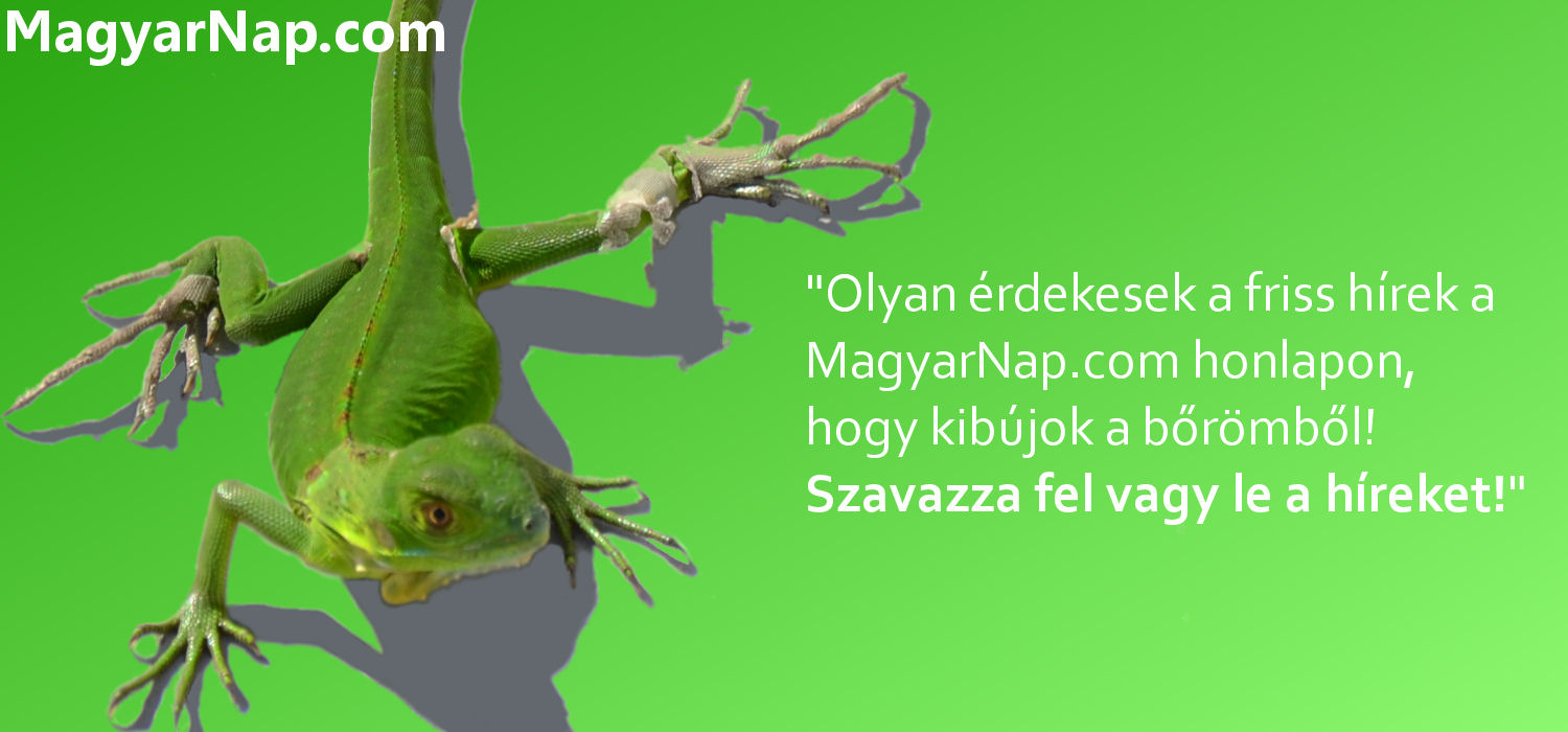 MagyarNap.com